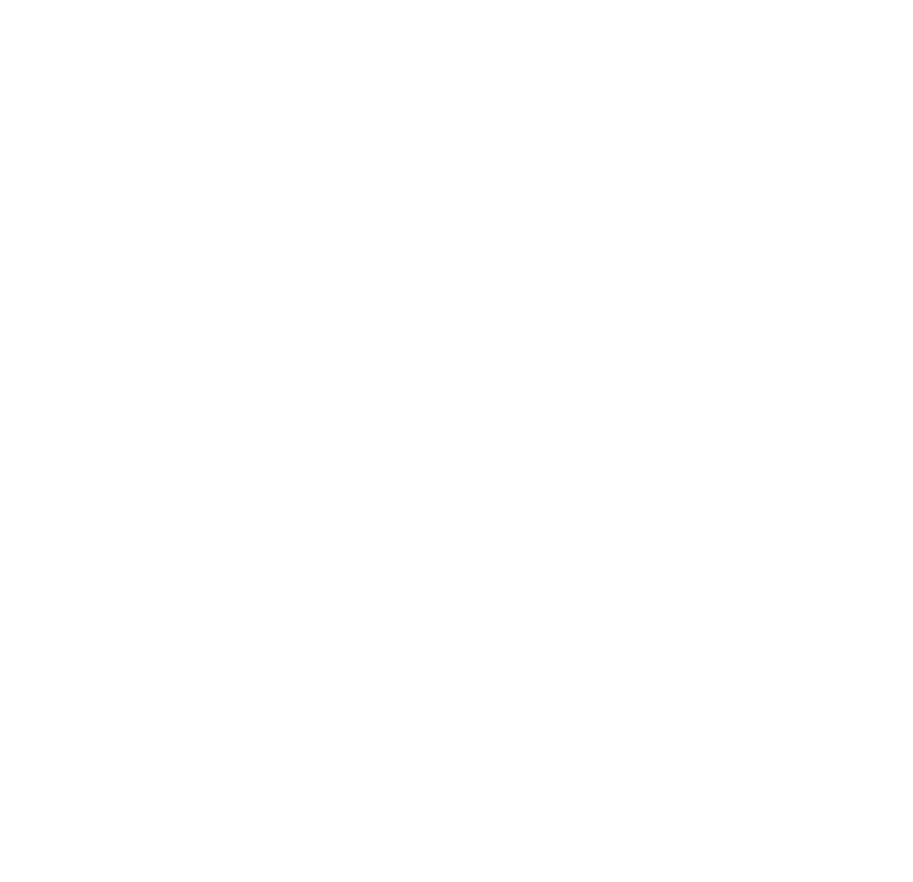 Nova identidade visual Pignus Seguros, 2024